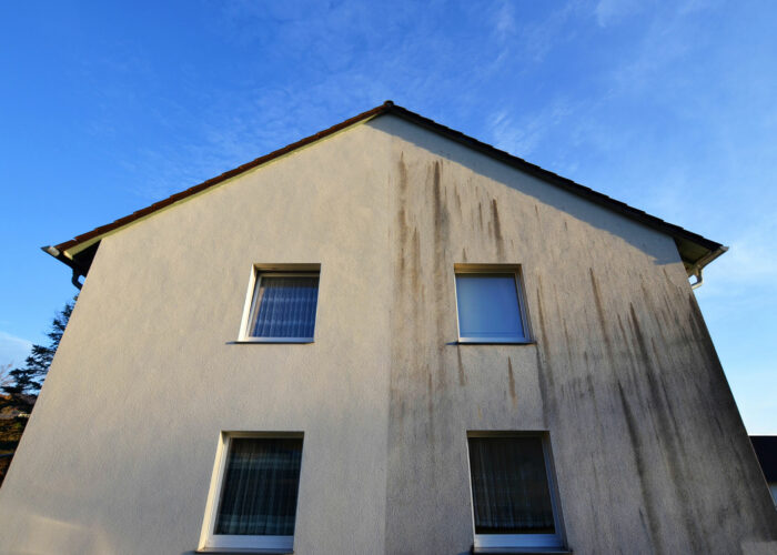 fassadenreinigung 01